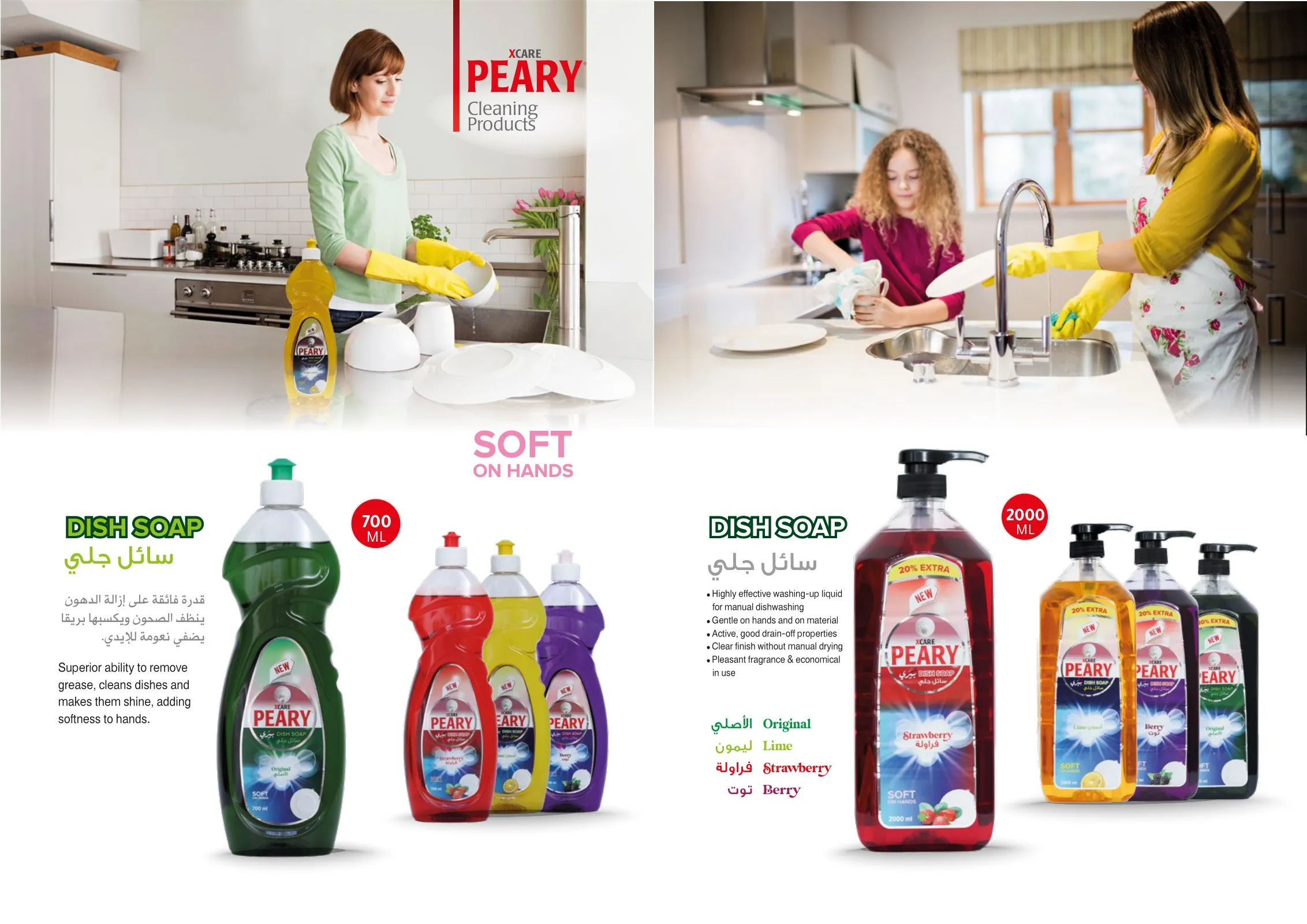 Brochure spread on dish soap