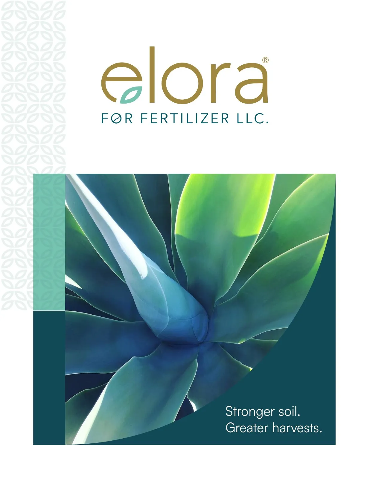 Elora product profile