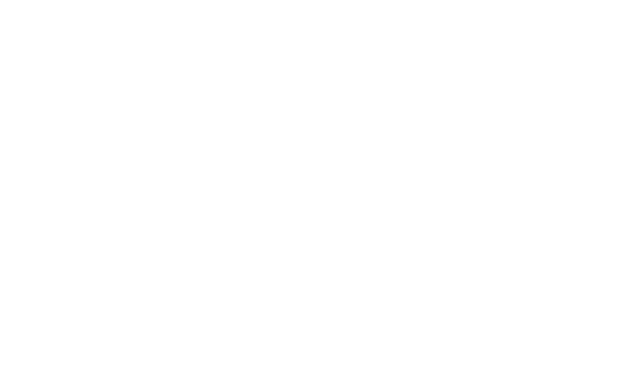 Democratic Movement logo on a burgundy background
